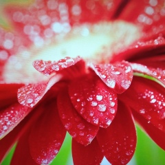 Наталья Аглиева, 11.09, Казань