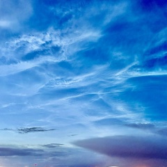 Касим Мамаджонов, 20.11, Санкт-Петербург