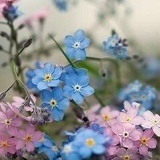 Виктория Чепурина, 12.09, Санкт-Петербург