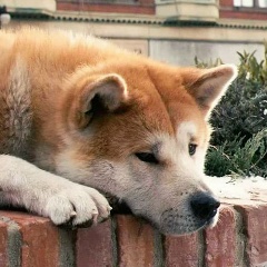 Александр Спесивцев, 25.05, Белгород