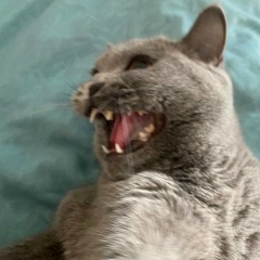 Евгений Дудкин, 19.04.1988, Одинцово