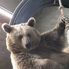 Антон Соловьев, 17.12.1987, Ярославль