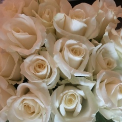 Ольга Веселова, 18.01.1987, Одинцово