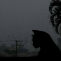 Henry Chinashki