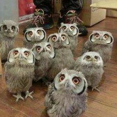 Вячеслав Вострухин, 20.09.1979, Москва