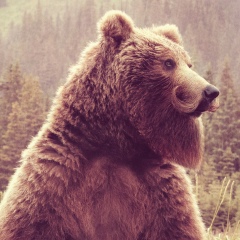 Володимир Мороз, 12.06.1987, Богородчаны