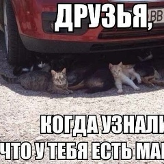 Jamshid Saipov, Шымкент