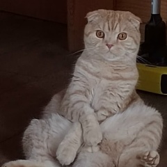 Марина Трофимова, 20.07.1982, Санкт-Петербург