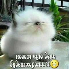 Den Kukolshikow, 12.12, Пермь