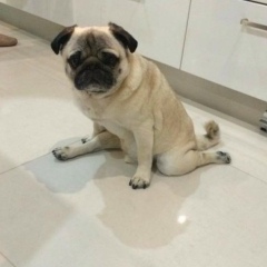 Ира Морозова, 16.11.1988, Саратов