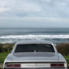 Виктор Тимофеев