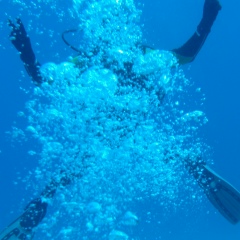 Михаил Тодогошев, 25.04.1988