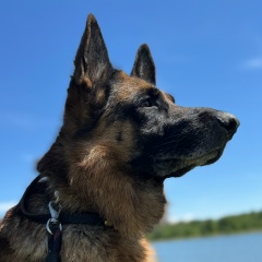 Альбина Рудометова, Тюмень