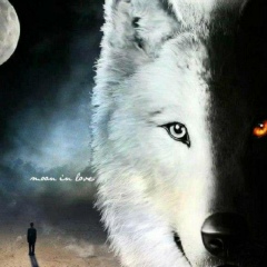 Wasem Ahmed, 05.05, Kuala Lumpur