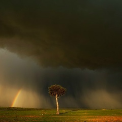 Денис Бобрёнок, 01.04.2000, Львов