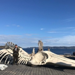 Дмитрий Сташенко, 23.06.1977, Санкт-Петербург