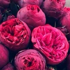 Akiza Akhmetova, 23.03, Алматы