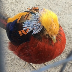 Алексей Жилин, 14.04, Екатеринбург