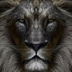 Жанибек Байбулатов