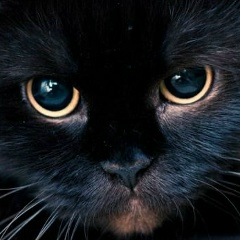 Александр Викторов, 23.01, Москва