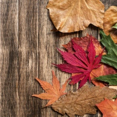 Alexey Miturev, 08.07, Санкт-Петербург