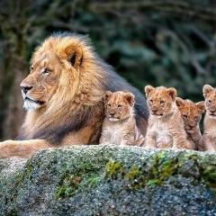 Искандер Алпысбаев, 09.04