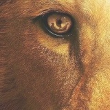 Ольга Воронина, 31.07.1980, Ярославль