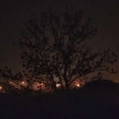 Василь Божик