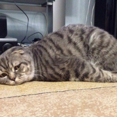 Виктория Юрина, 01.04.1989, Казань