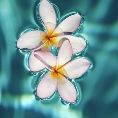 Маришка Иванова, 01.05, Санкт-Петербург