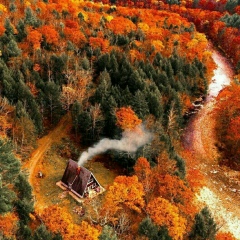 Светлана Онищенко