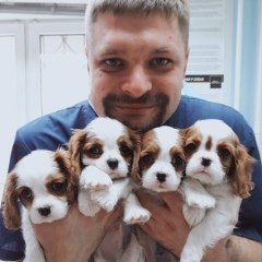 Александр Тинку, Челябинск