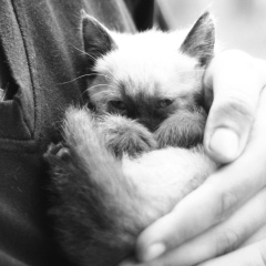 Борис Гацук, 09.06, Санкт-Петербург