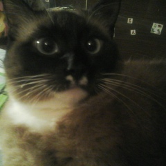 Елена Кузнецова, 17.04, Санкт-Петербург