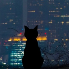 Хава Дудургова, 04.05, Назрань