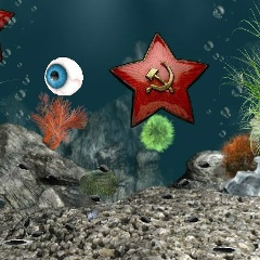 Tamerlan Asiq, 13.09.1997, Гянджа