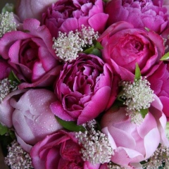 Залина Дагирова, 26.07.1992, Астрахань