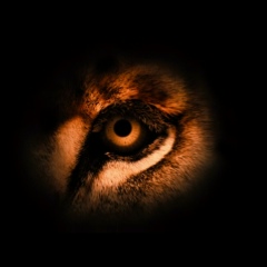 Нуртас Изихан, 06.05, Stuttgart