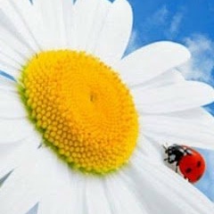 Елена Крупская, 03.03, Москва