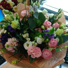 Елена Дременкова, 07.02.1987, Санкт-Петербург