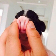 Соня Пионова, 27.03, Санкт-Петербург