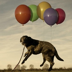 Давид Степанянцев, 02.01.1989