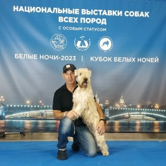 Николай Кузьмин, 29.02, Санкт-Петербург