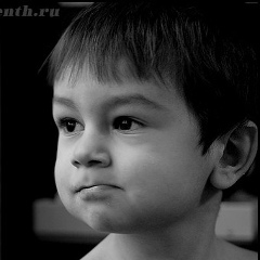 Роман Гуменюк, 01.12, Тернополь