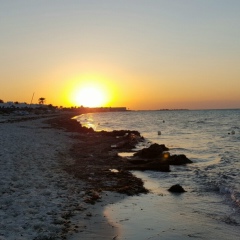 Татьяна Наконечная, 28.01, Paris