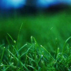 Оксана Козаченко, 09.09, Одесса