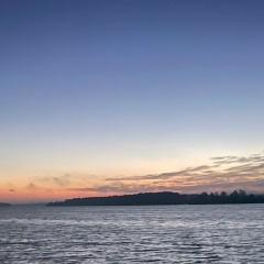 Алексей Алексей