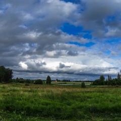 Александр Дрыга