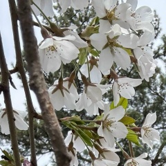 Елена Рыбалкина, 05.12.1988, Туапсе