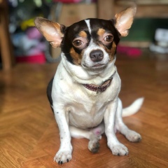 Elizabeth Ra Nin Nin, 30.08, Yangon